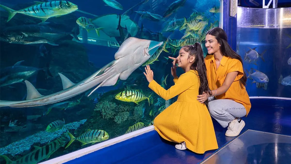 آکواریوم و باغ وحش زیرآب دبی Dubai Aquarium & Underwater Zoo