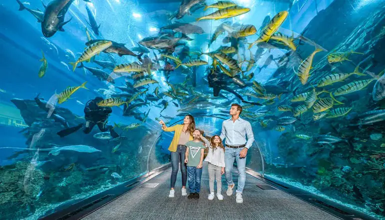  شهر آکواریوم دبی  Dubai Aquarium & Underwater Zoo