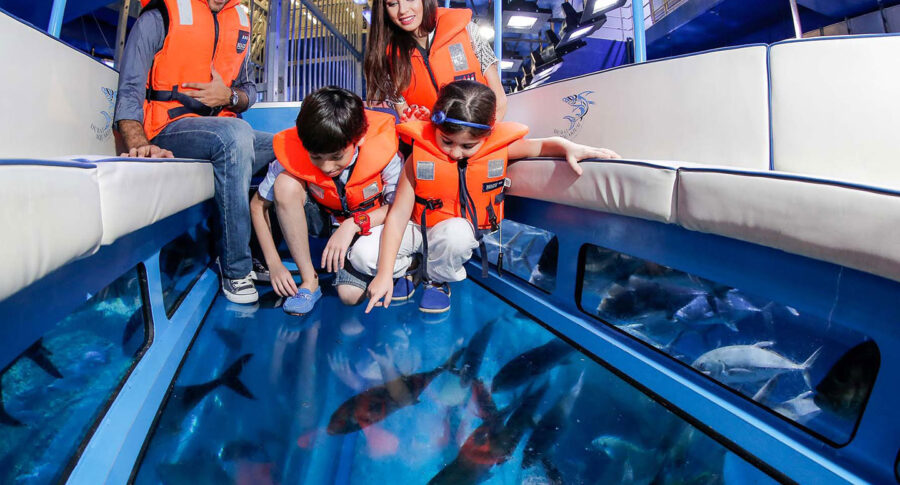 آکواریوم و باغ وحش زیر آب (Dubai Aquarium & Underwater Zoo)